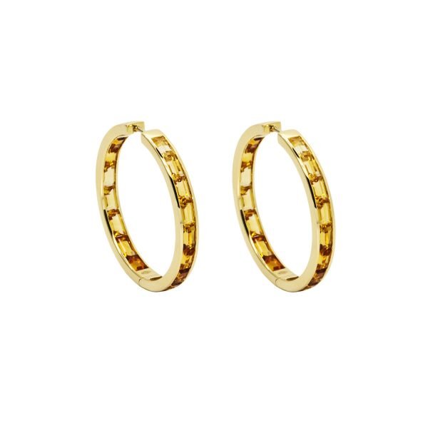 Golden Hoop Earrings